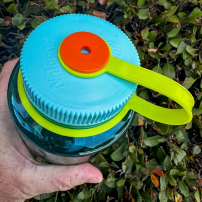 Hike That Shit Dinosaur T-Rex Nalgene 32oz Water Bottle