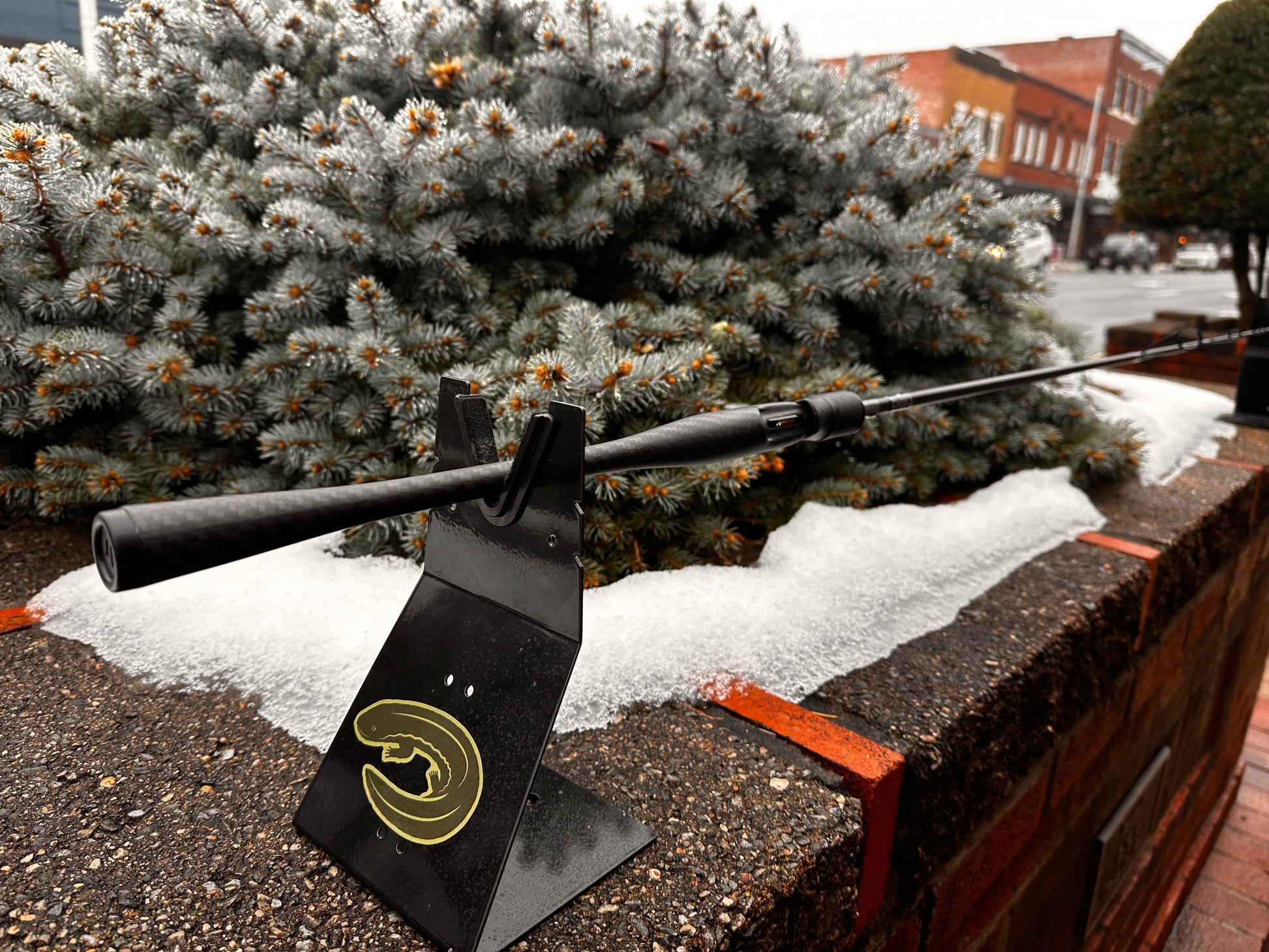 Custom Fishing Rod (Built to Order)