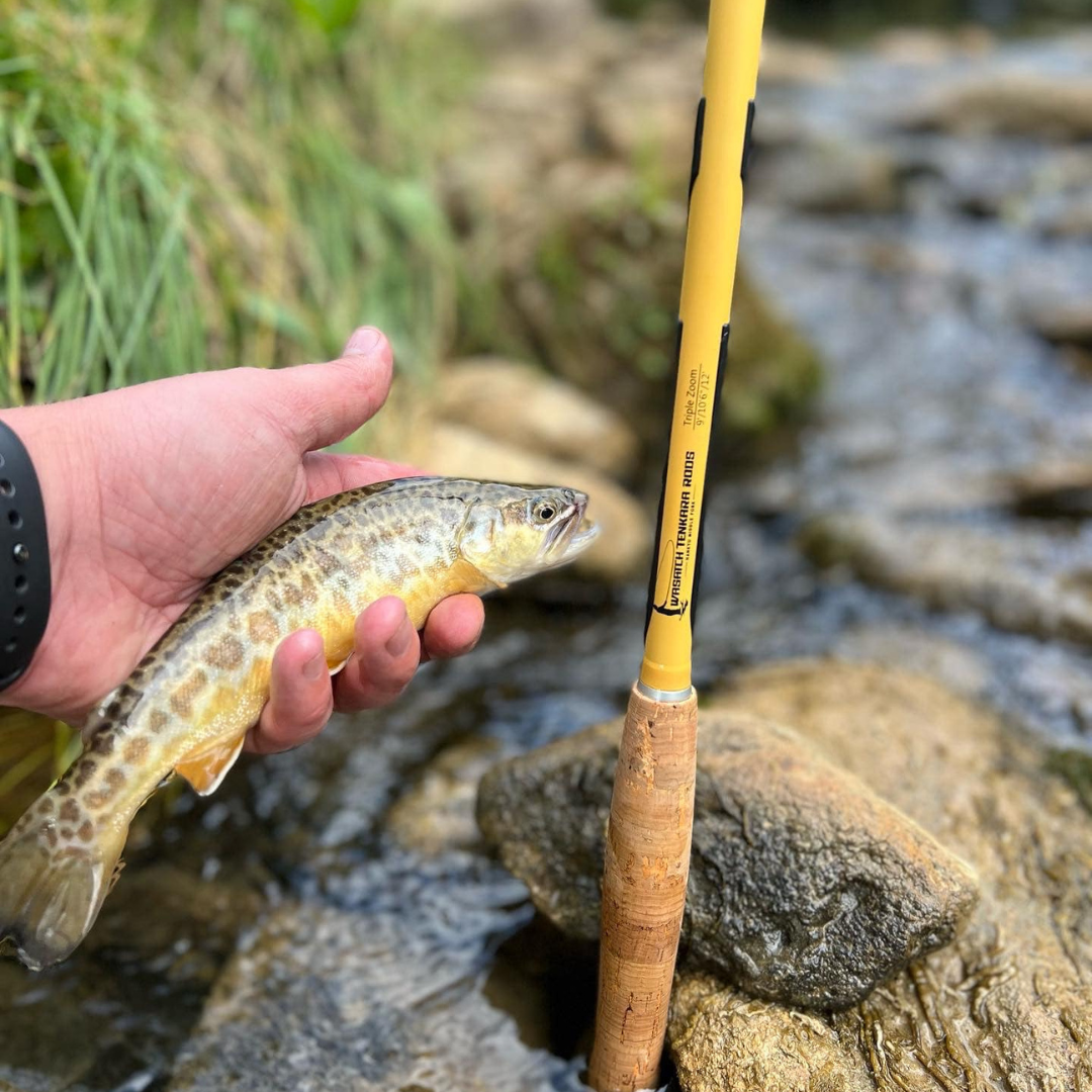 Hankyu Middle Fork