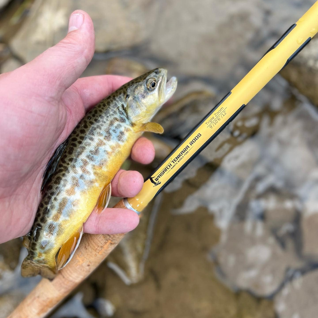 Hankyu Middle Fork